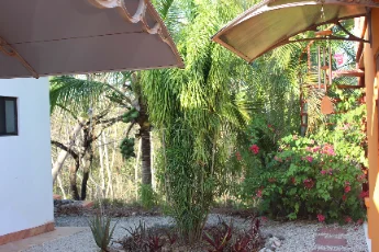 Outdoor shower