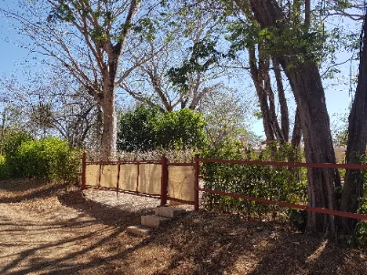 Terrace view