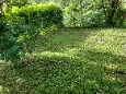 Garden stone path