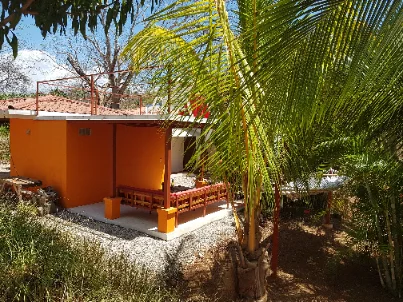 Garden walkway