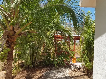 Property landscaping